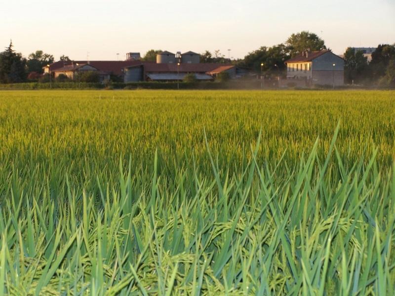 Cascina Battivacco Villa Milano Eksteriør billede